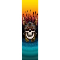 Powell Peralta Andy Anderson 9 x 33 Skateboard Grip Tape Sheet