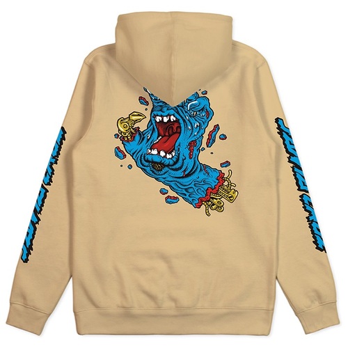 santa cruz sweatshirt kids
